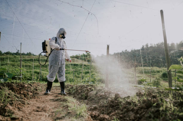 Best Pest Control for Homes  in Orofino, ID