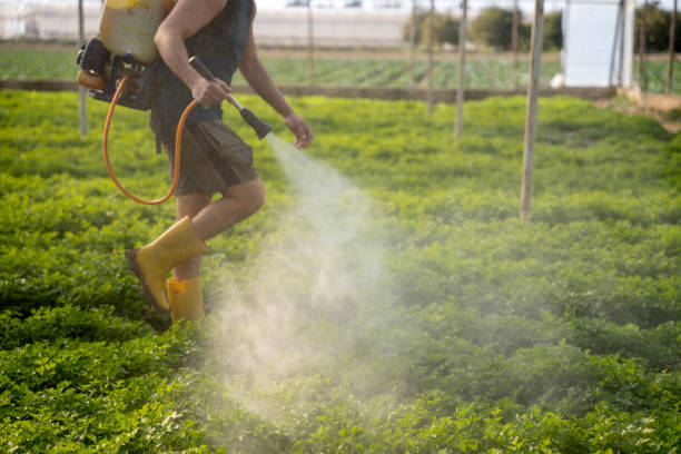 Best Wasp Removal Services  in Orofino, ID