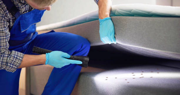 Best Bed Bug Extermination  in Orofino, ID