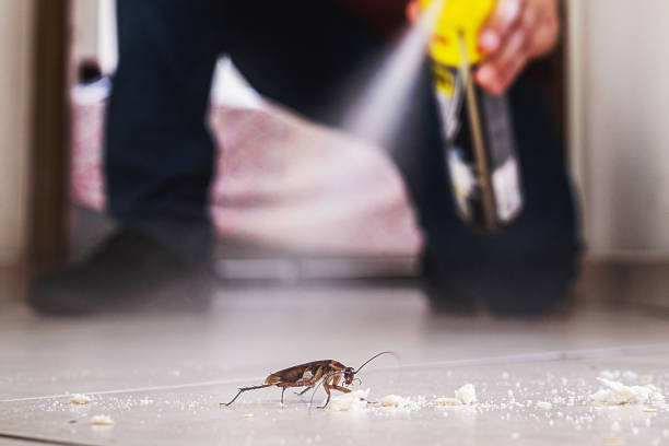 Best Cockroach Control Services  in Orofino, ID