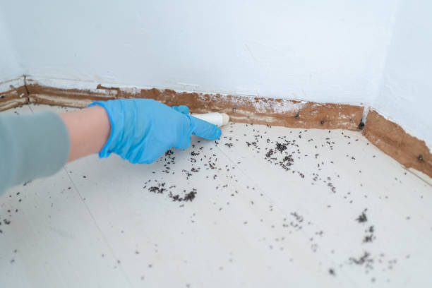 Wildlife Control Services in Orofino, ID
