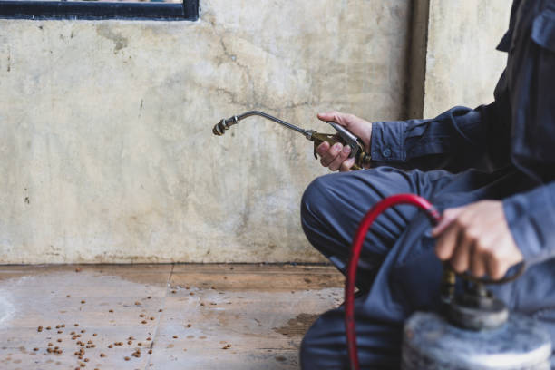 Best Best Pest Control Companies  in Orofino, ID
